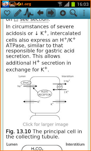 Oxford Handbook Nephrolo&Hyp screenshot