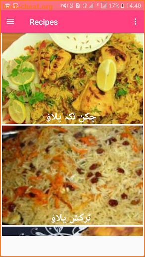 Pakistani Urdu Recipes screenshot