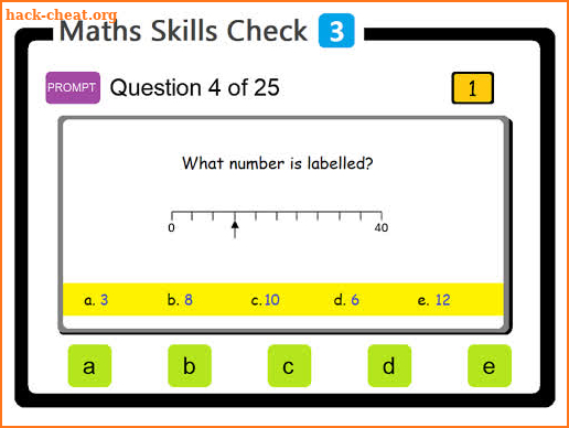 PAM Maths Skills Check 3 screenshot