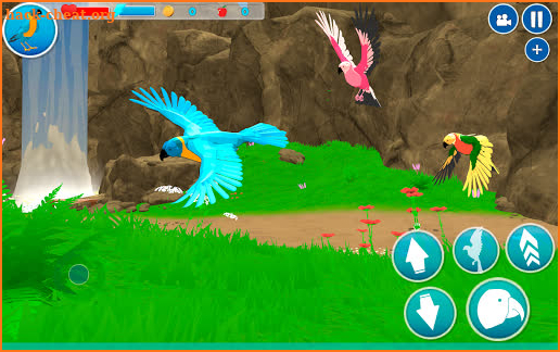 Parrot Simulator screenshot