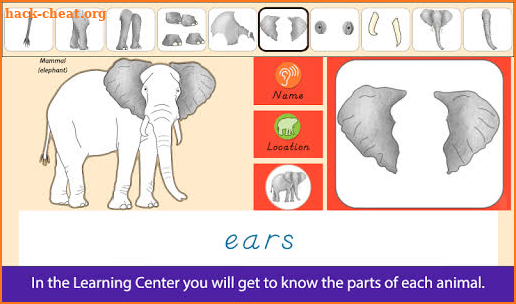 Parts of Animals (Vertebrates) screenshot