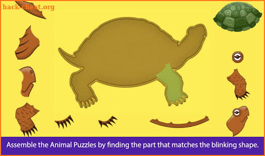 Parts of Animals (Vertebrates) screenshot