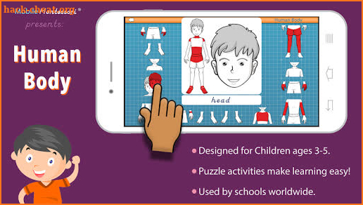 Parts of the Human Body - Montessori Anatomy screenshot