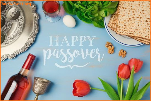 Passover Greeting Cards screenshot