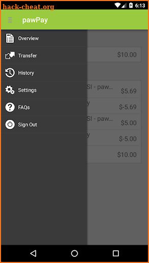 pawPay screenshot