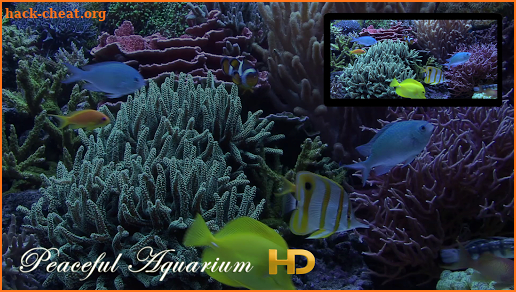 Peaceful Aquarium HD screenshot