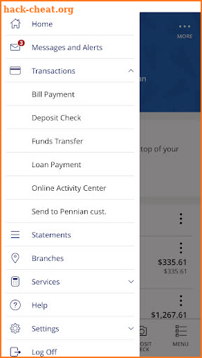 Pennian Bank screenshot