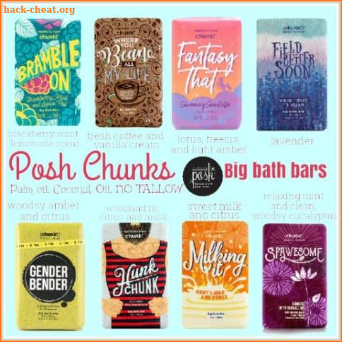 Perfectly Posh, Indulge in Kim's Posh Paradise screenshot