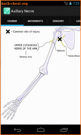 Peripheral Nerve Expert screenshot