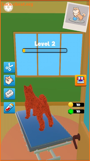 Pet Care 3D screenshot