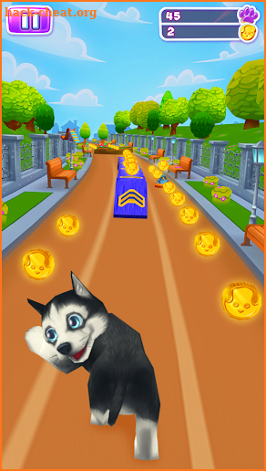 Pet Run - Puppy Dog Game screenshot