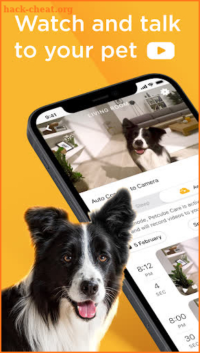 Petcube screenshot