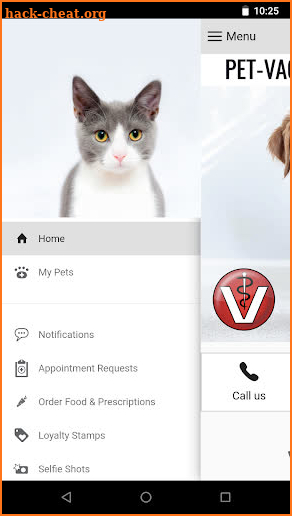 PetVacAH screenshot