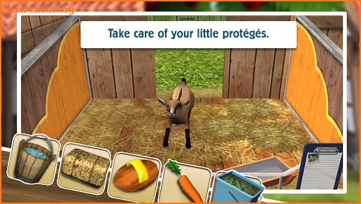 PetWorld: My animal shelter screenshot