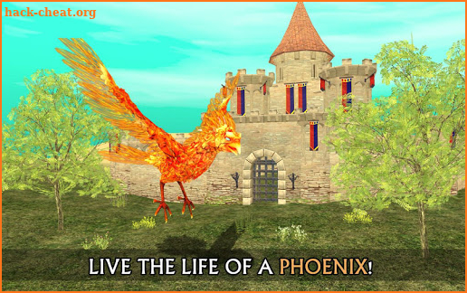 Phoenix Sim 3D screenshot