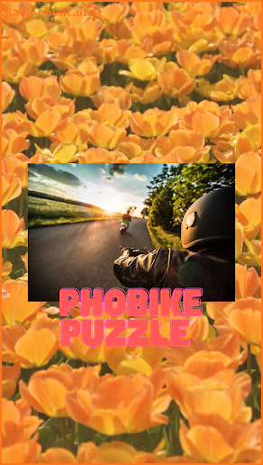 Photo bike puzzle screenshot