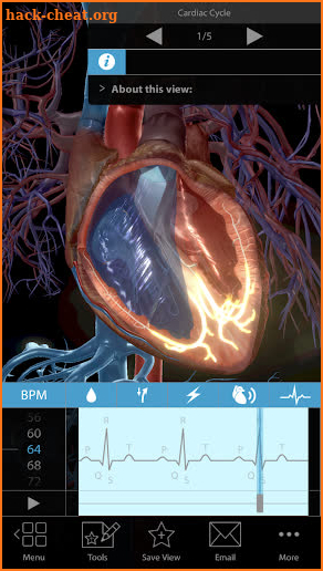 Physiology & Pathology screenshot