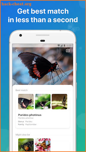 Picture Insect - Insect Id Pro screenshot