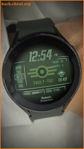 Pip-Boy Watch Face Digital screenshot