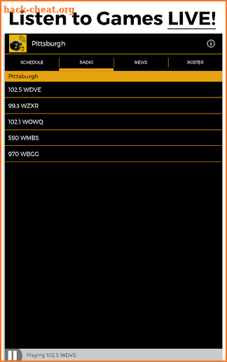Pittsburgh Football Radio screenshot