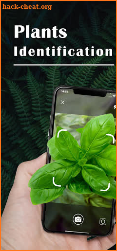 Plant ID - Plant Identification - PictureThis screenshot