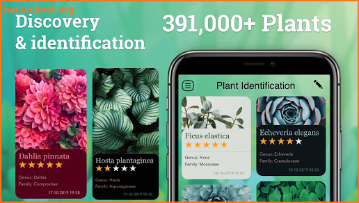 Plant Identification - Identify plants screenshot