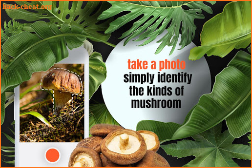 Plant Identification, Mushroom Identifier Apps screenshot