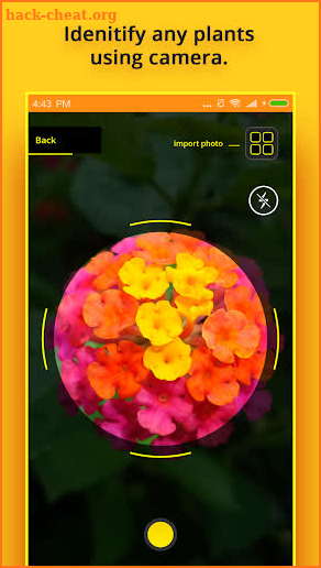 Plant Identifier screenshot