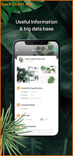 Plant identifier app - Tree, Flower, Leaf ... screenshot