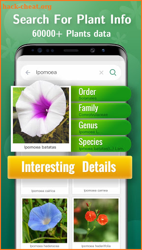 Plant Lens - Plant & Flower Identification screenshot