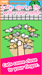 Play with Cats screenshot