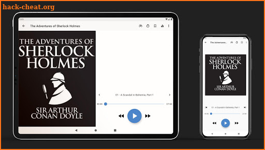 PlayBooks - audiobook player screenshot