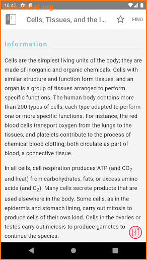 Pocket Anatomy and Physiology screenshot