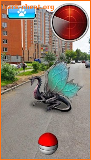 Pocket Dragon GO AR screenshot