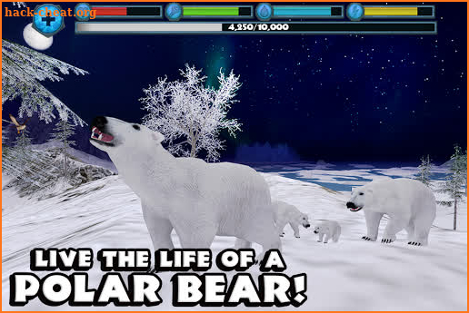 Polar Bear Simulator screenshot