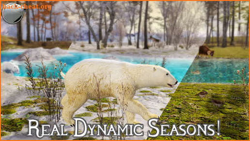 Polar Bear Simulator 2 screenshot