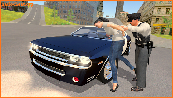 Police Chase - The Cop Car Driver screenshot