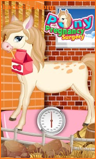 Pony Pregnancy Maternity screenshot