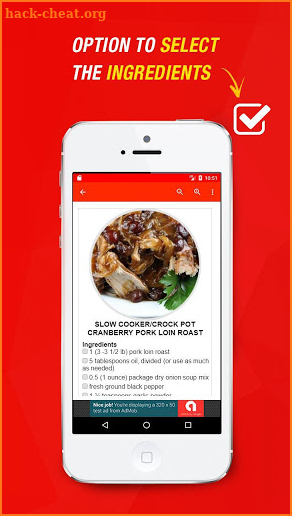 Pork Roast Recipes screenshot