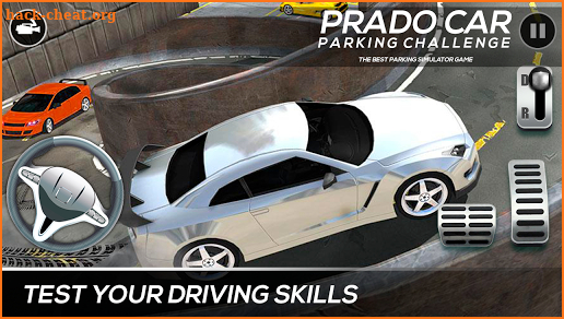 Prado Car Parking Challenge screenshot