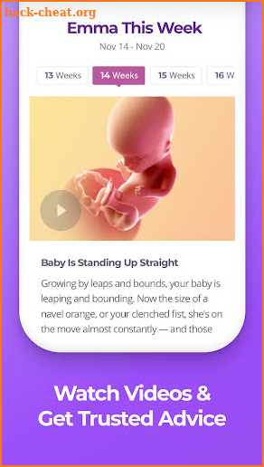 Pregnancy & Baby Tracker screenshot