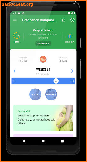 Pregnancy Companion screenshot