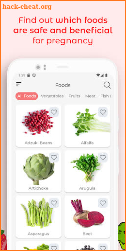 Pregnancy Diet: Recipes, Foods screenshot