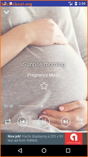 Pregnancy Music Collection screenshot