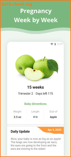 Pregnancy Week By Week screenshot