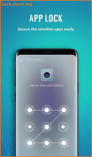 Privacy Shield screenshot