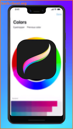 Procreate Paint Pro Editor Guide screenshot