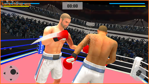 Punch Boxing  Mega Star 3D screenshot