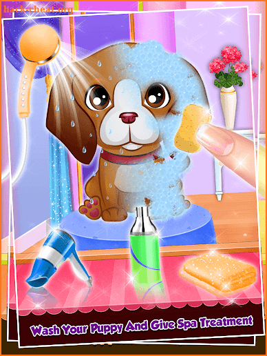 Puppy Dog Salon : Pet Daycare screenshot