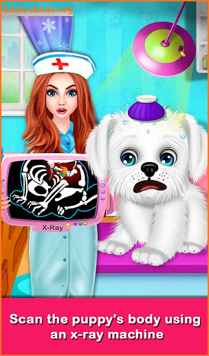 Puppy Surgery Hospital Pet Vet Care DayCare screenshot